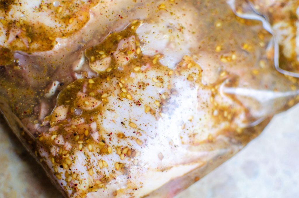 marinade-in-bag