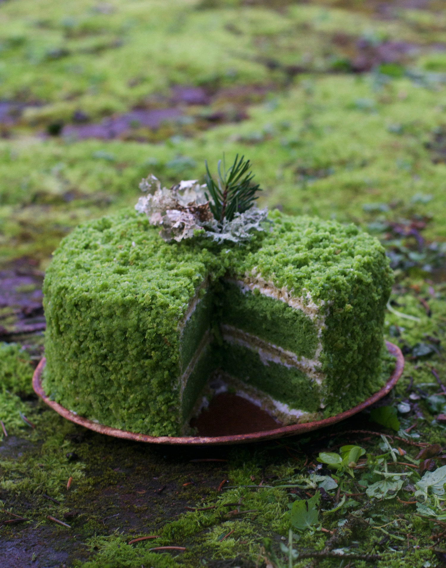 stinging-nettles-recipes