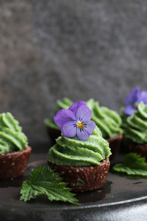 stinging-nettles-recipes