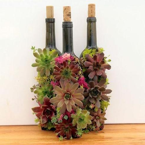 Old Wine Bottles
