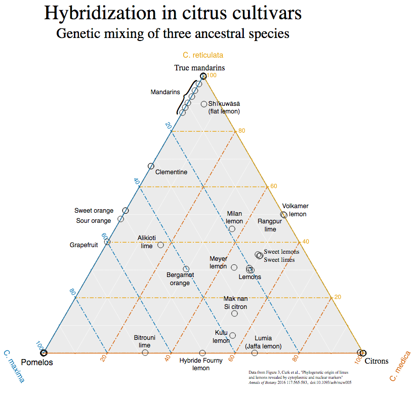 citrus hybirds