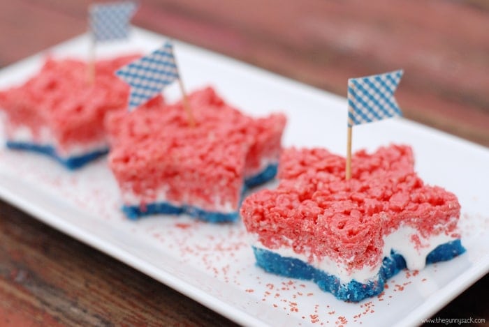 4th of July Picnic