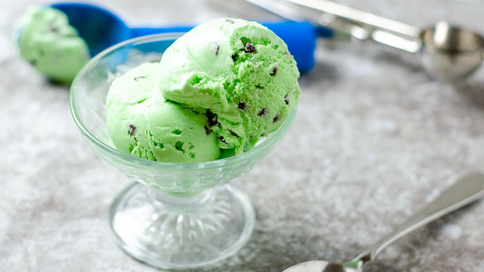Mint Chocolate Chip Food Processor Ice Cream