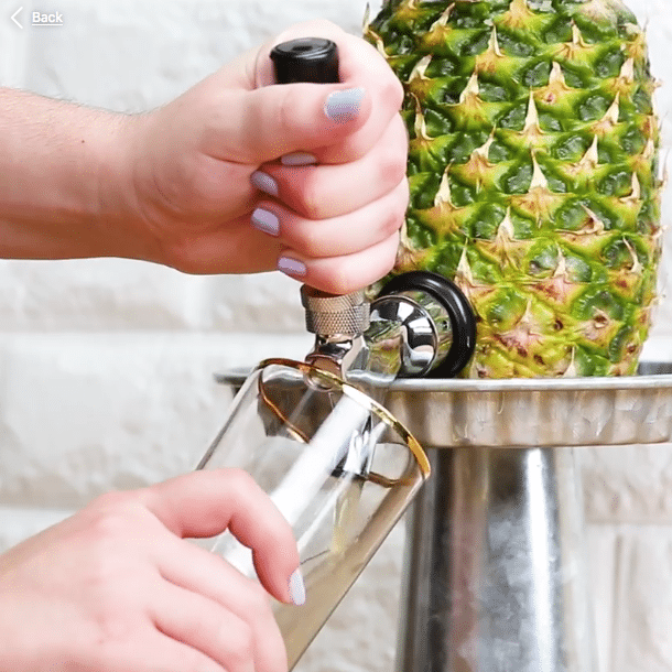 pineapple keg