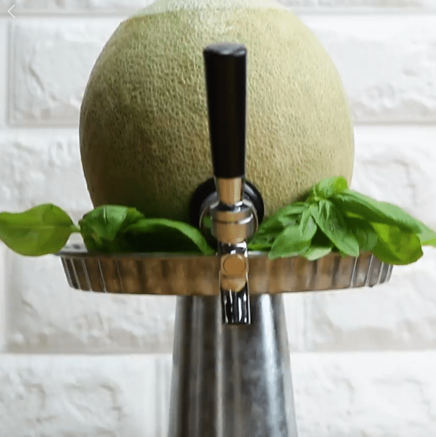 fruit kegs
