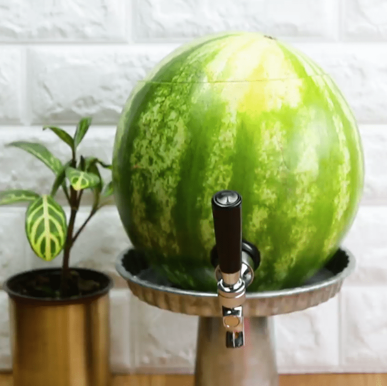 watermelon keg