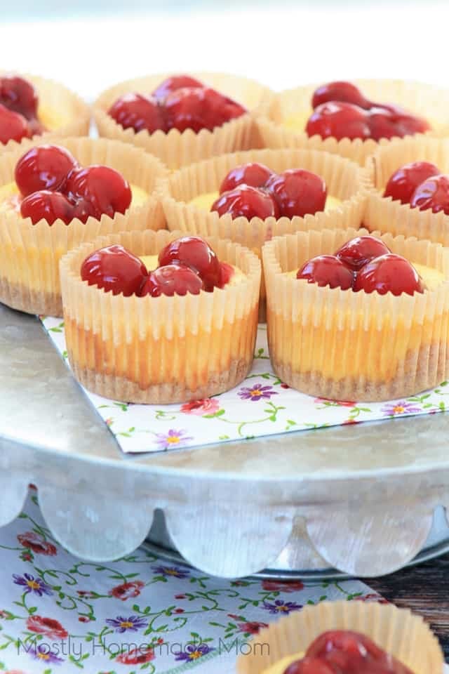 Mini cheesecakes 