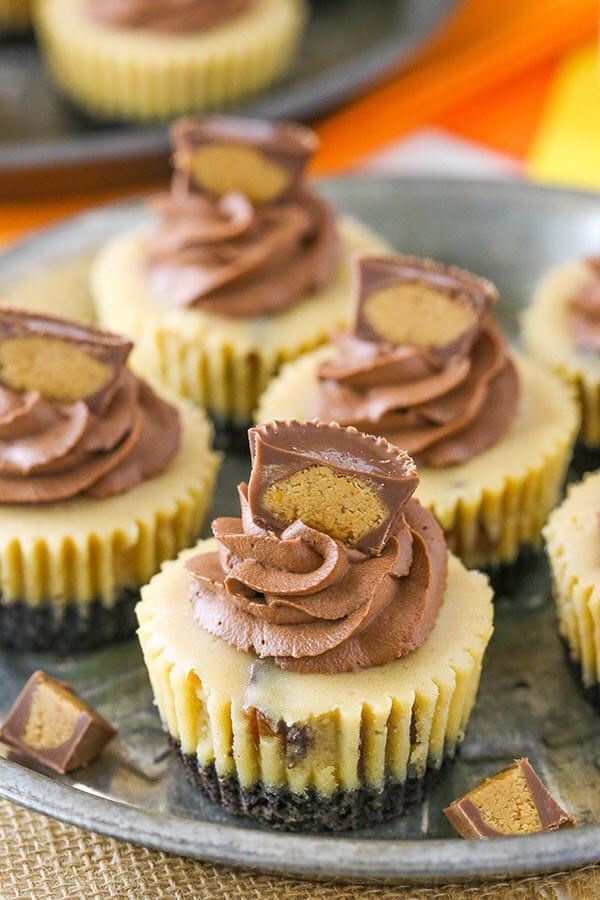 Mini cheesecakes 