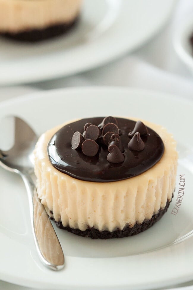 mini cheesecake recipes