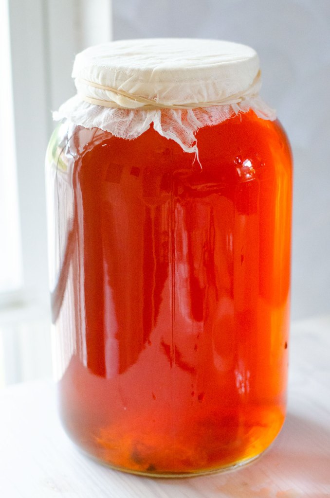 brewing kombucha
