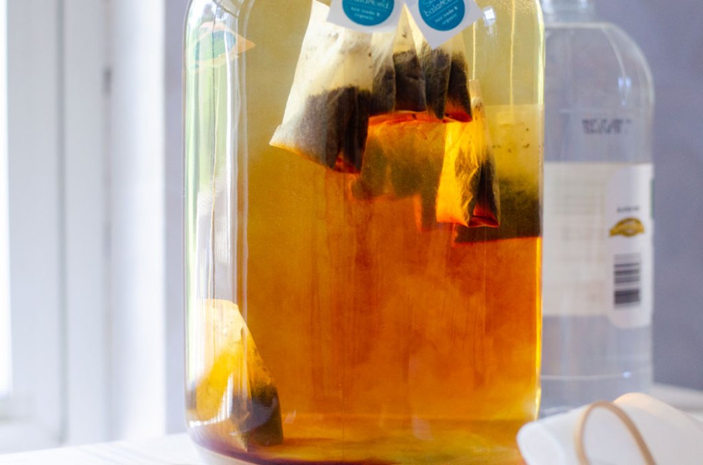 kombucha recipe