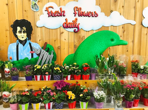 trader joe's alabama theater