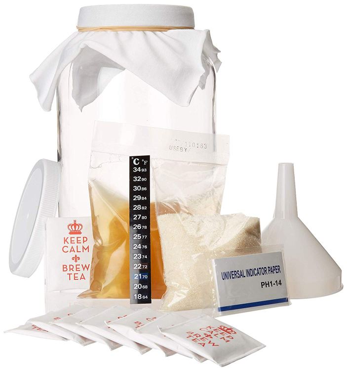 Kombucha Starter Kit