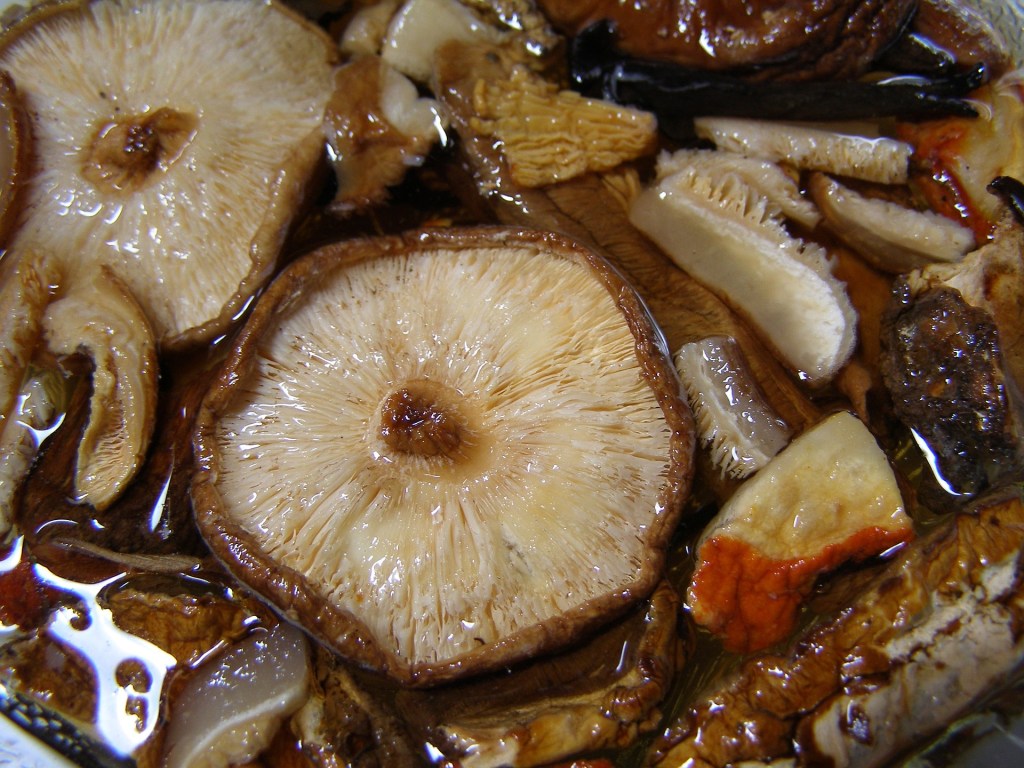 mushroom broth