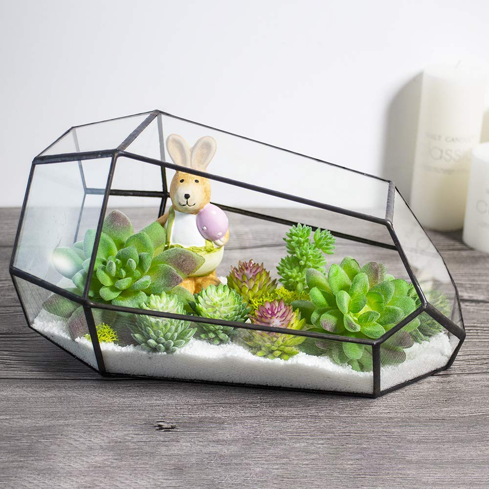 Geometric Succulent Plant