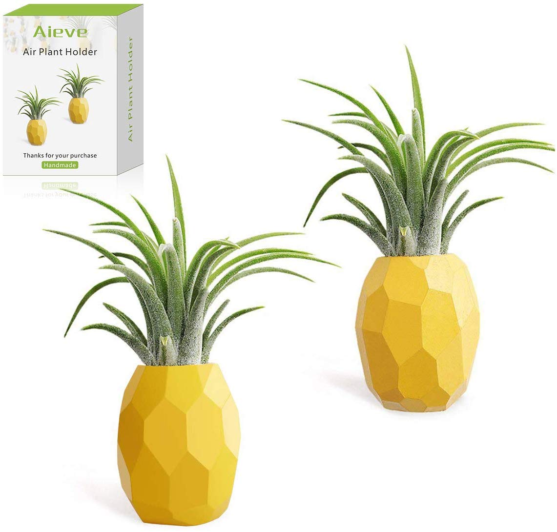 Pineapple Planter