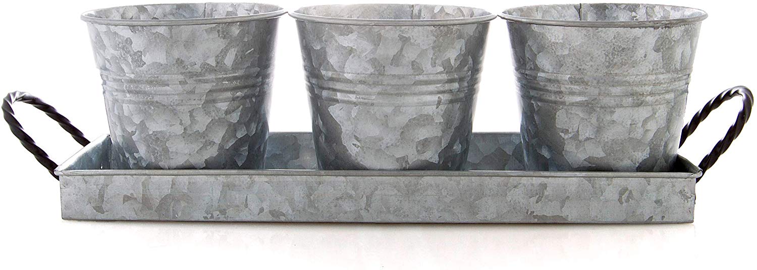 Planter Pots and Tray