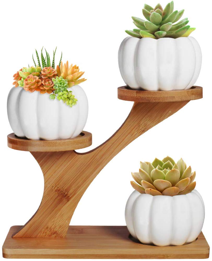 Pumpkin Planter