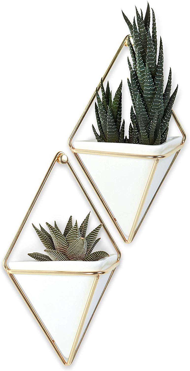 Umbra Trigg Hanging Planter Vase
