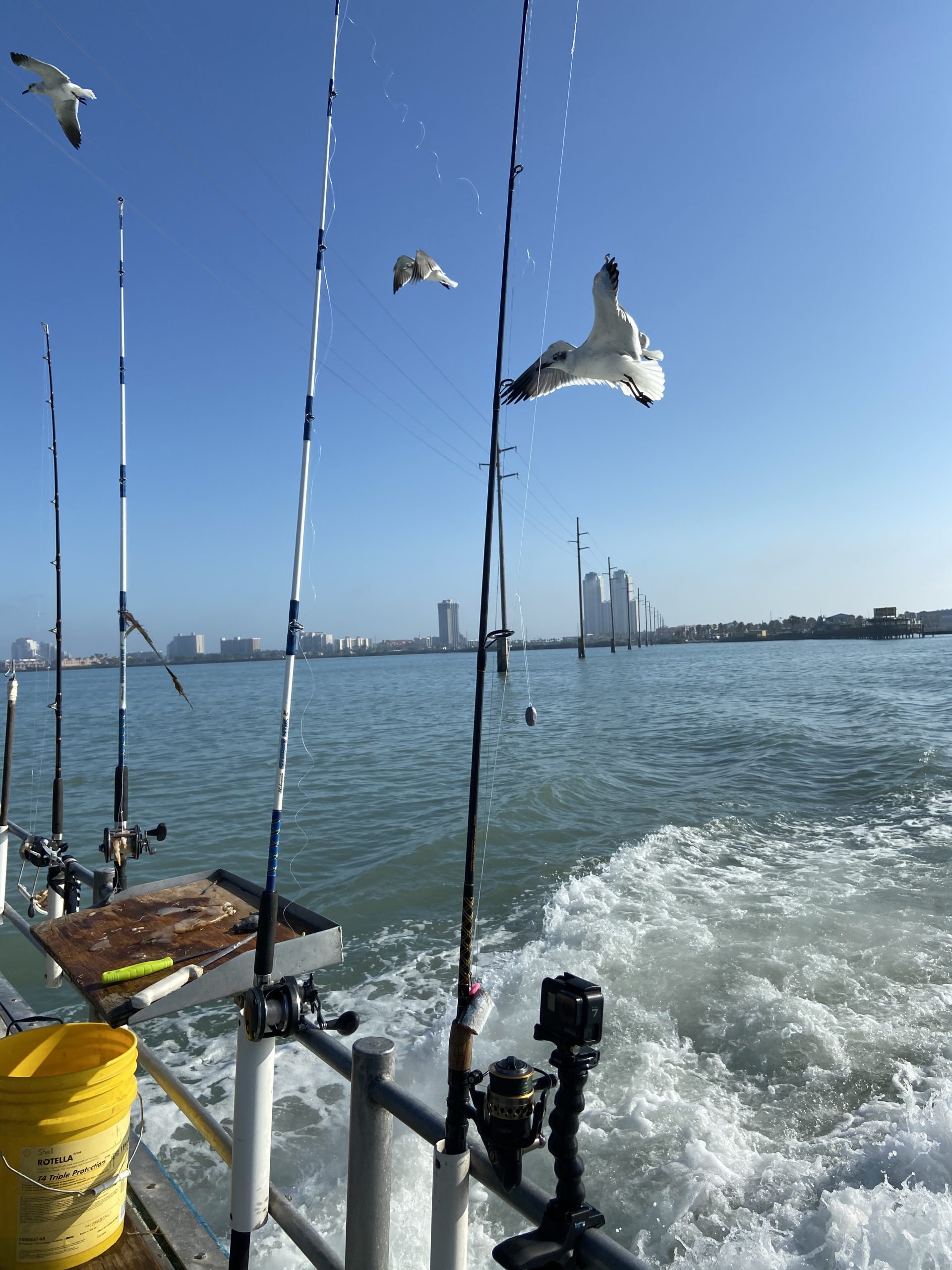 South Padre Things To Do-3