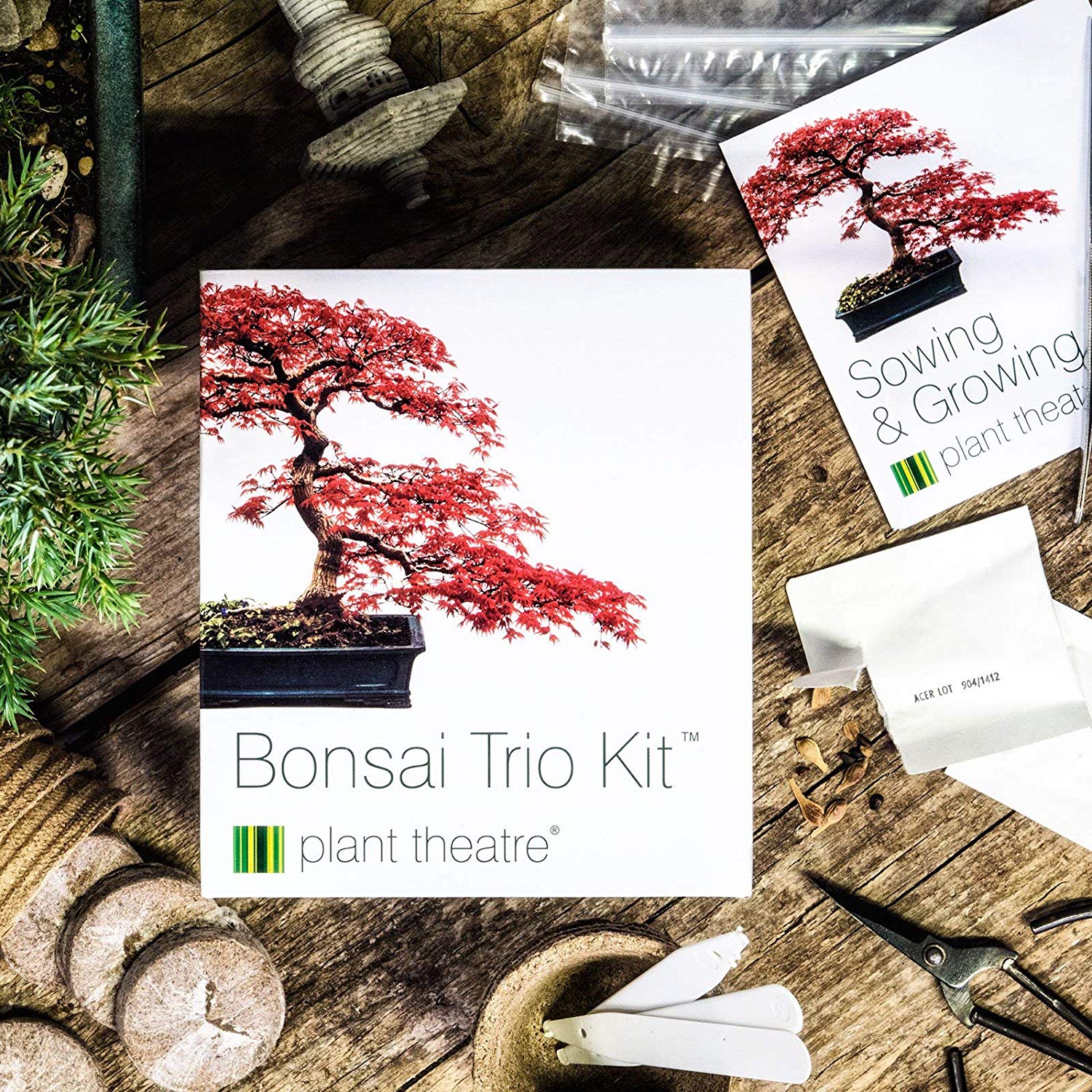 Plant Theatre Bonsai Trio Kit, 3 Distinctive Bonsai Trees to Grow