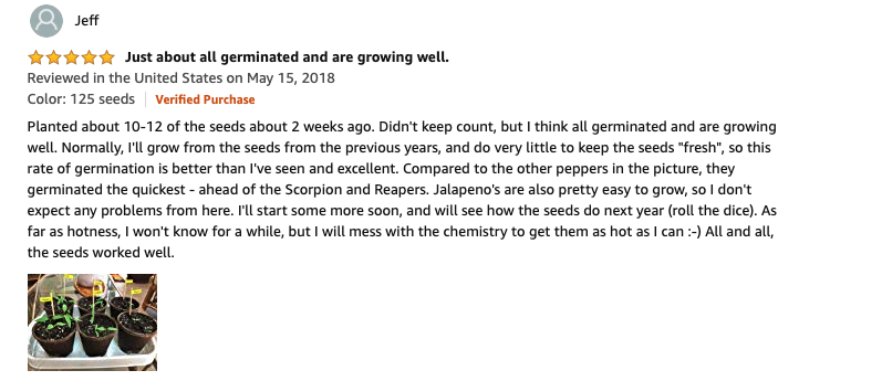Burpee Jalapeno Early Hot Pepper, 125 seeds