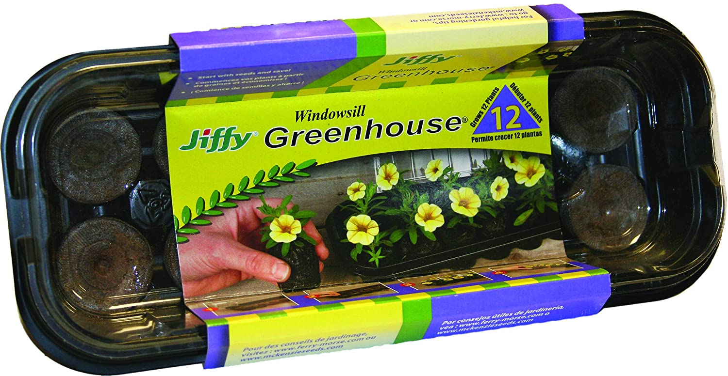 Jiffy J312 12Pel Wndwsll Greenhouse, Mini, Black with clear dome