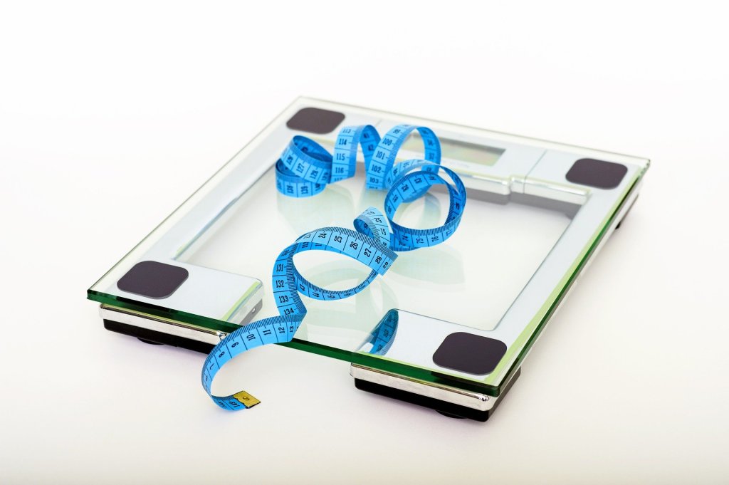 snake diet