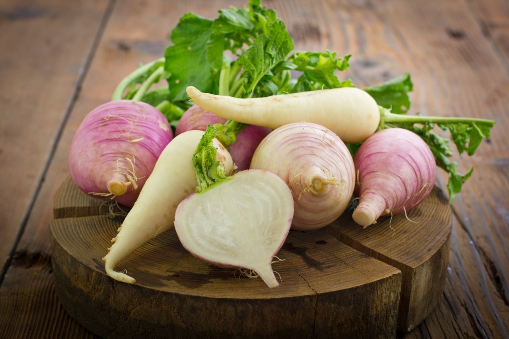 winter crops