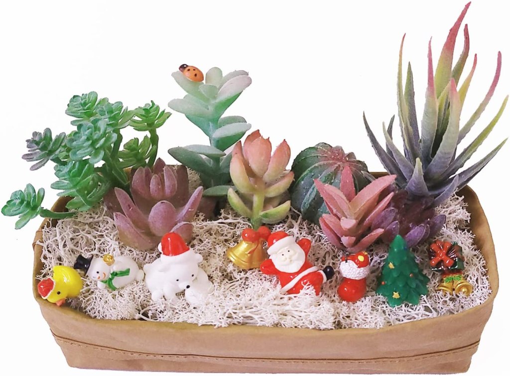 succulent christmas tree