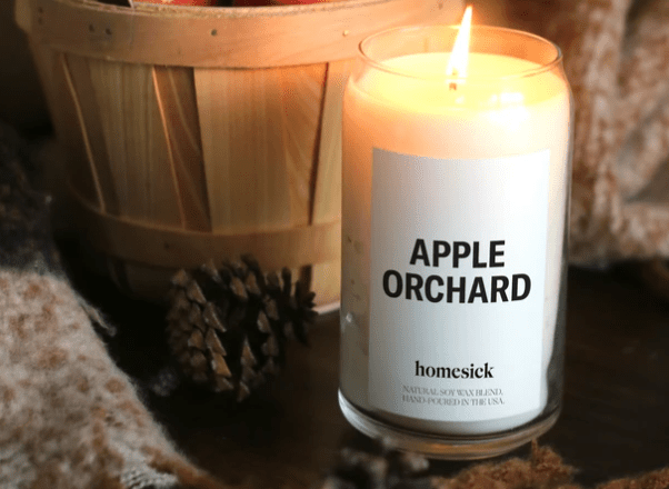 apple orchard