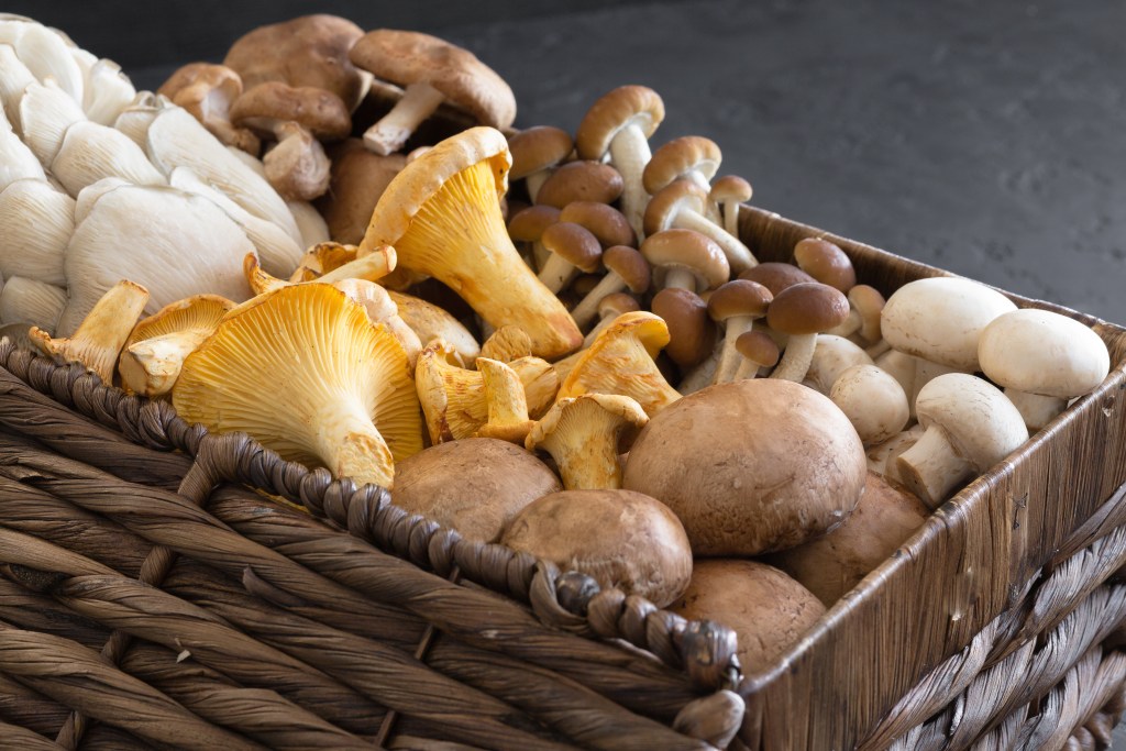 can you freeze mushrooms