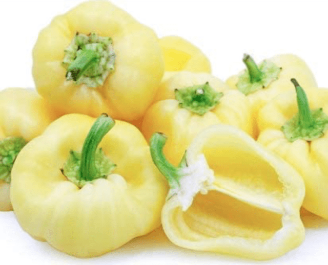 white bell pepper