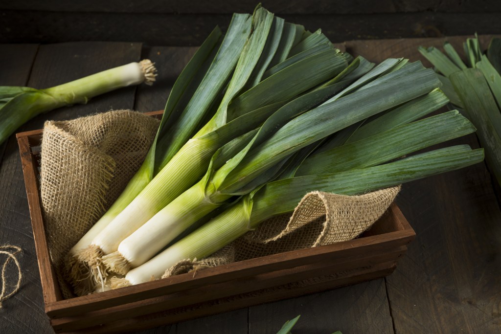 types of onions