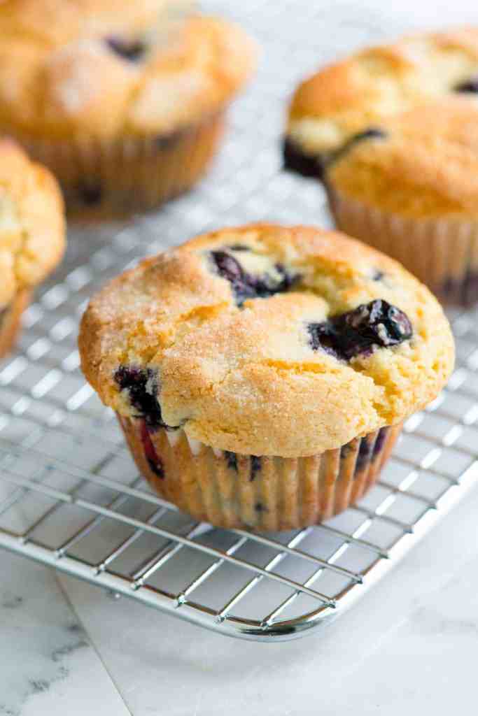 blueberry desserts