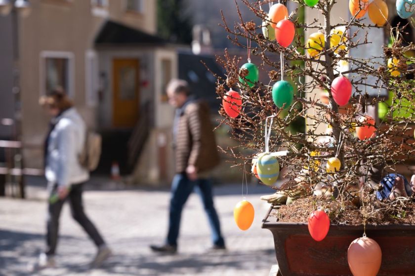 Easter eggs in a bush