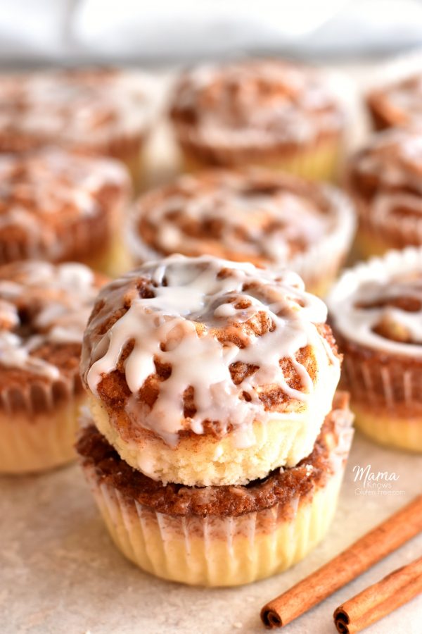 gluten free muffins