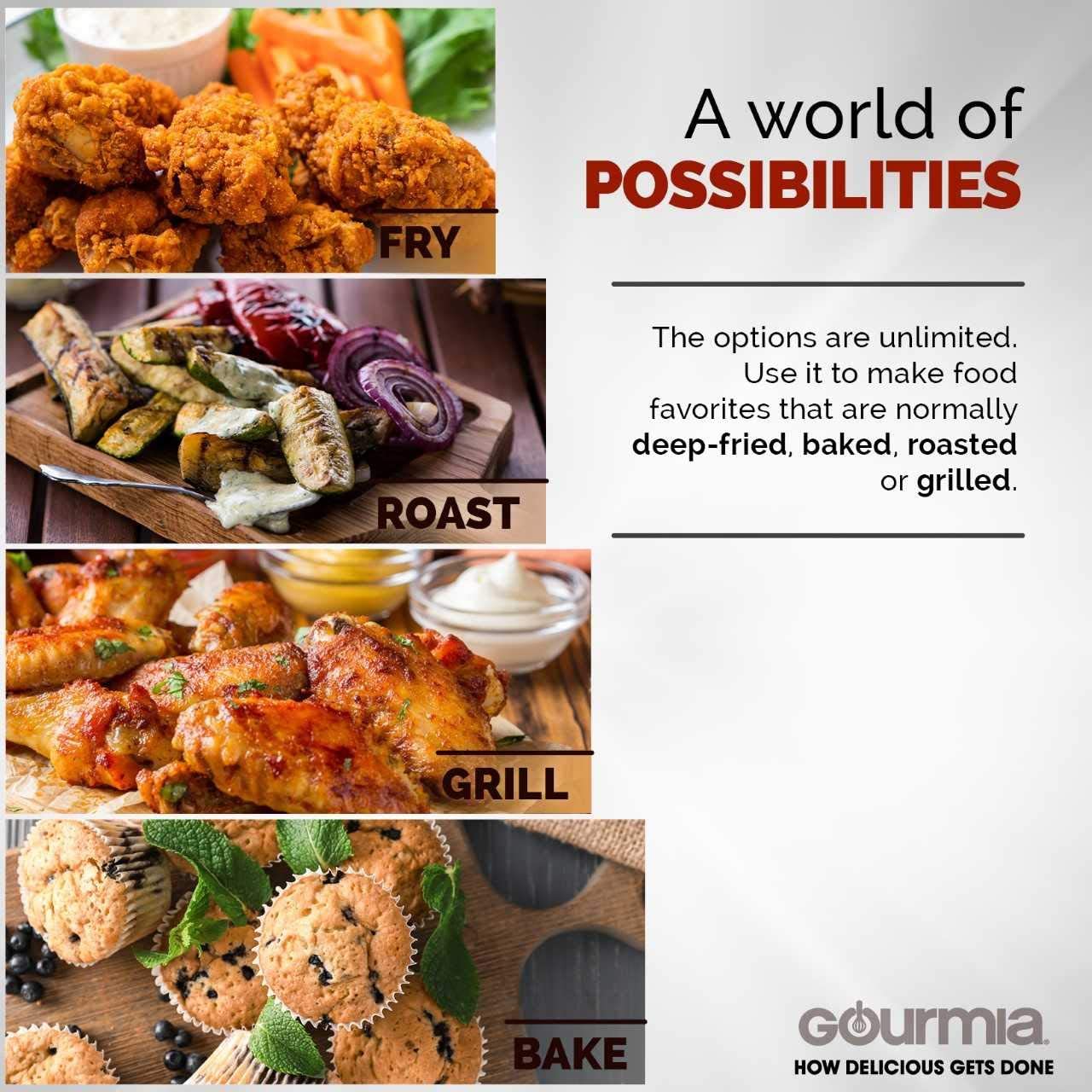 gourmia air fryer