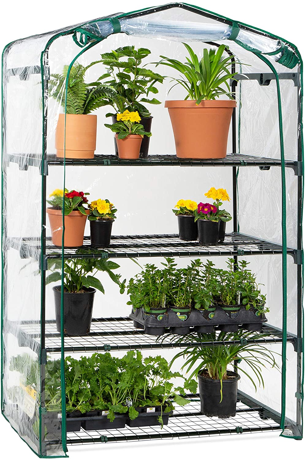indoor greenhouse
