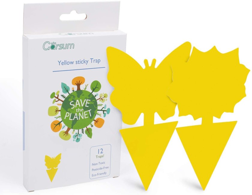 Garsum best gnat trap