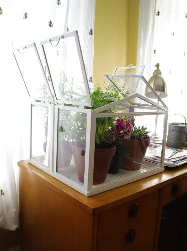indoor greenhouse