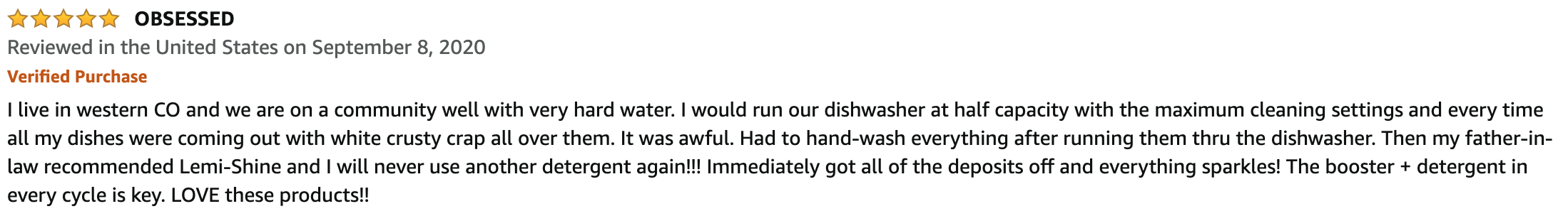 Lemi Shine Dish Review 3