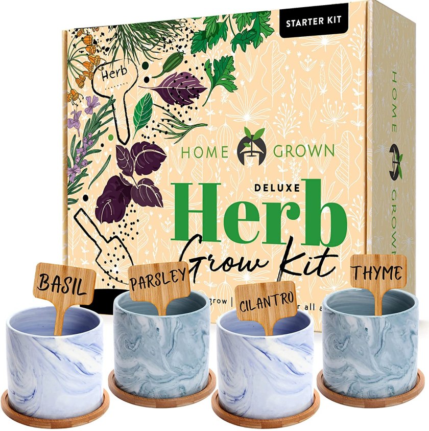 herb grow kit -- Gifts for Neighbors