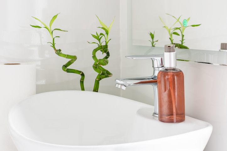 bamboo in bathroom