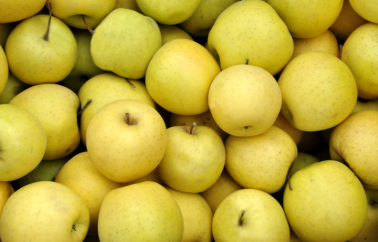 golden delicious