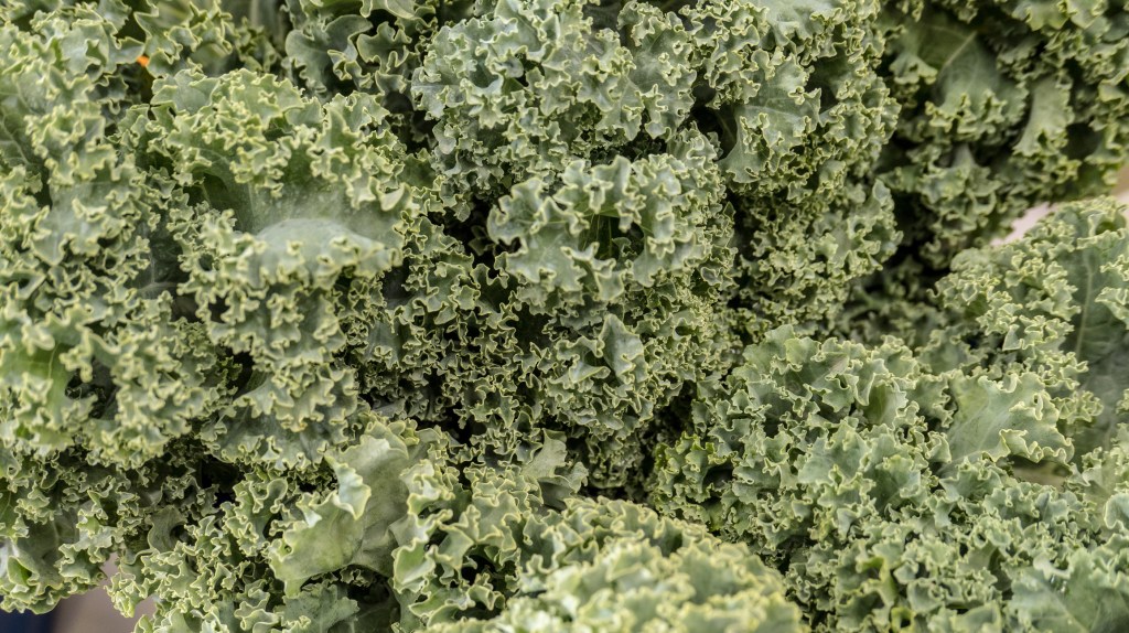 Kale Leaves