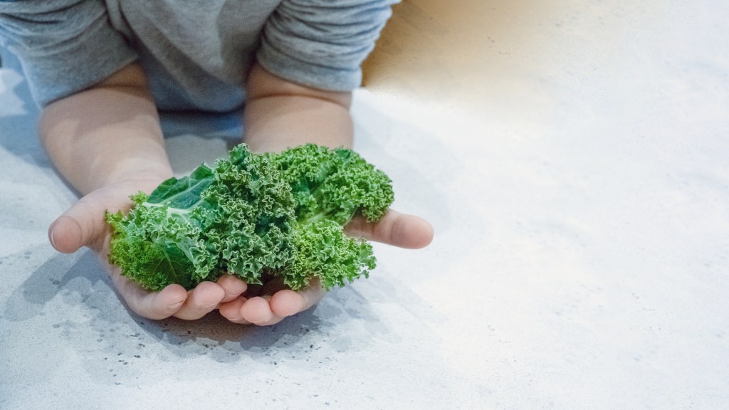 Young boy holding a bowl of fresh cooking herbs and leafy green vegetables with copy space.