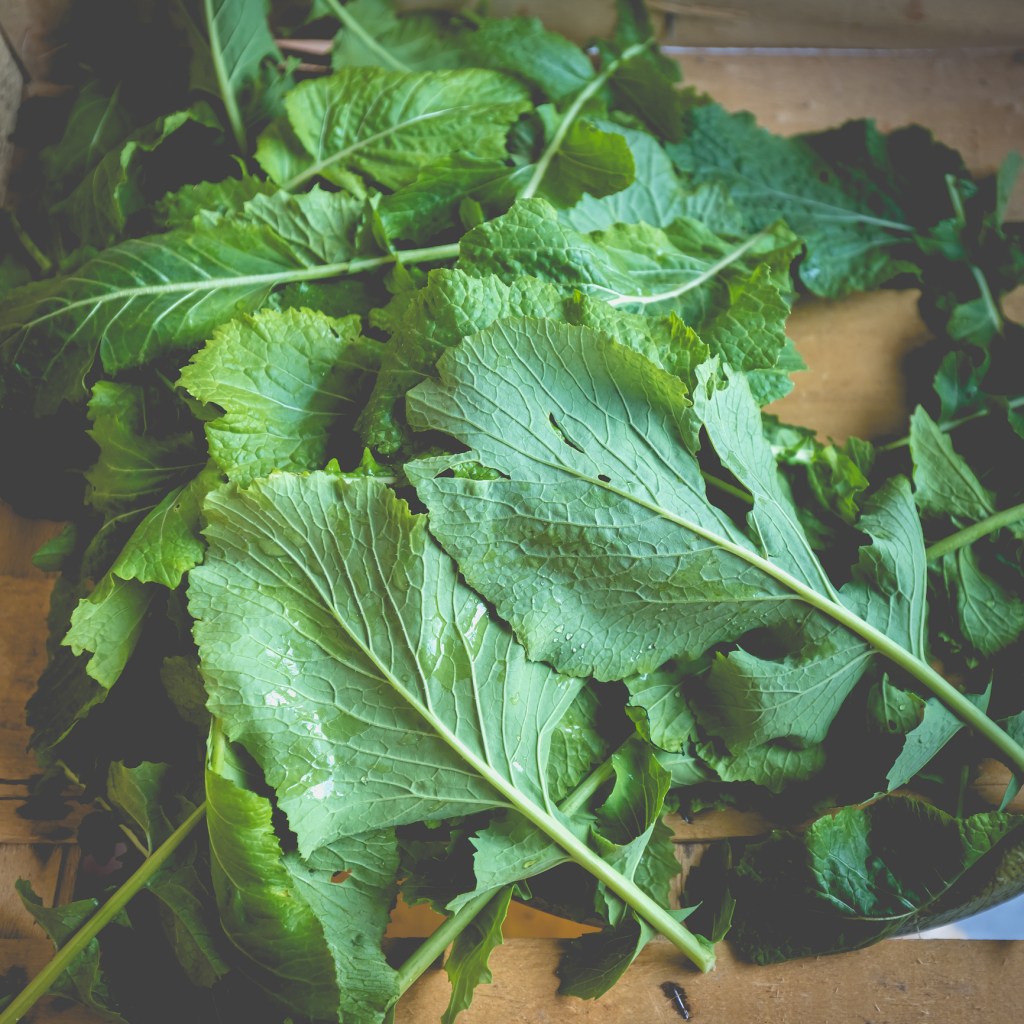nabica leaf - traditional portuguese cabbage in a crate