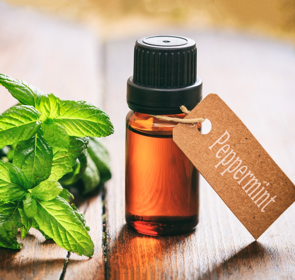 Peppermint essential oil