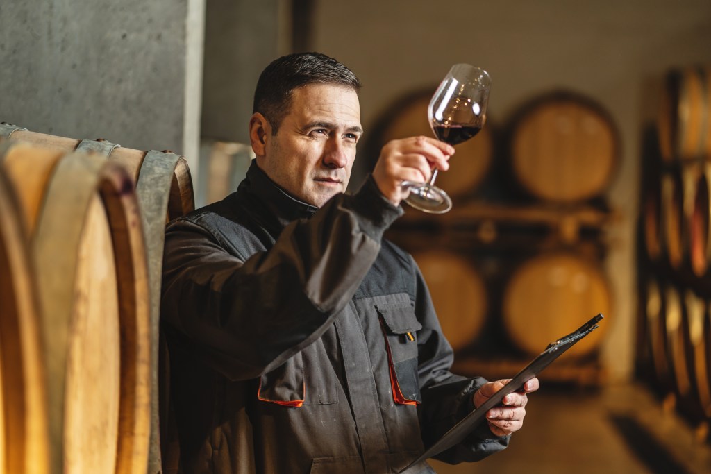 winemaker at winery checking glass 